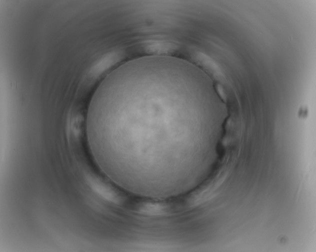 X0000095120071200712071250