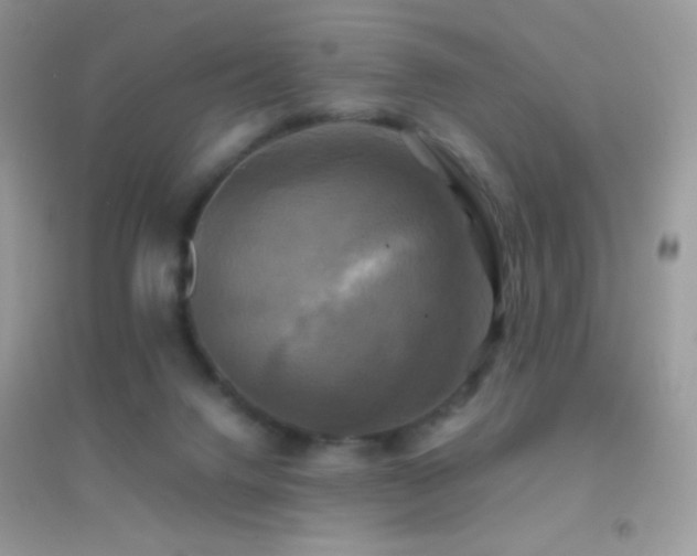 X0000095120072200712071250