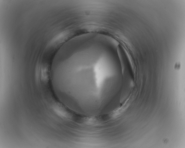 X0000095120074200712071250