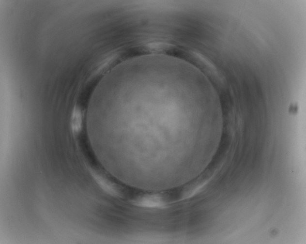 X0000095120075200712071250