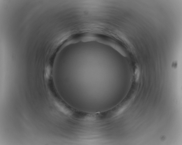 X0000095120076200712071250