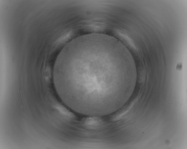 X0000095120077200712071250