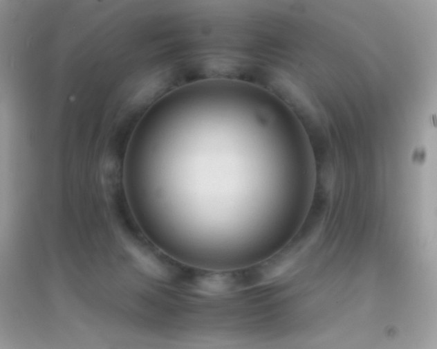 X0000095120079200712071250