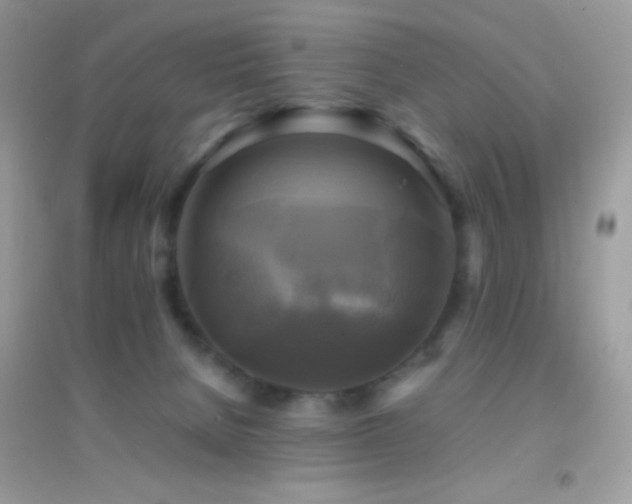 X0000095120080200712071250