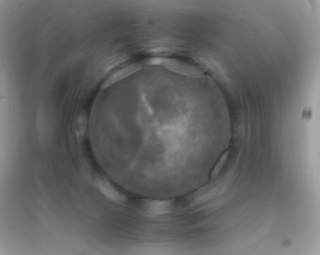 X0000095120081200712071250