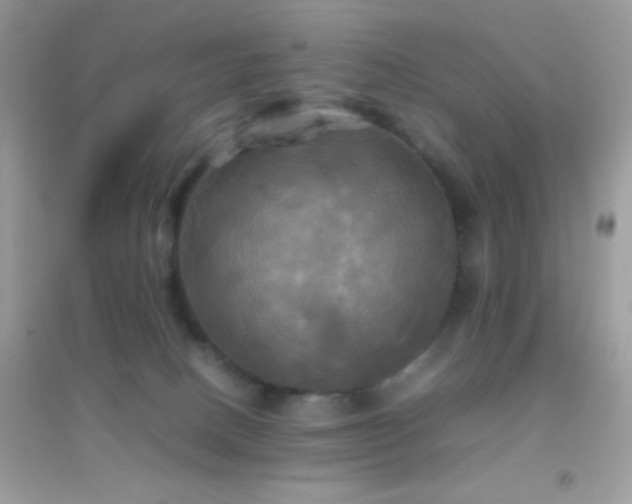 X0000095120082200712071250