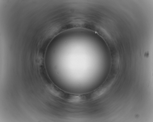 X0000095120083200712071250