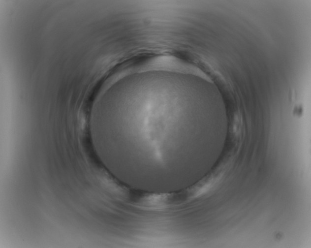 X0000095120084200712071250