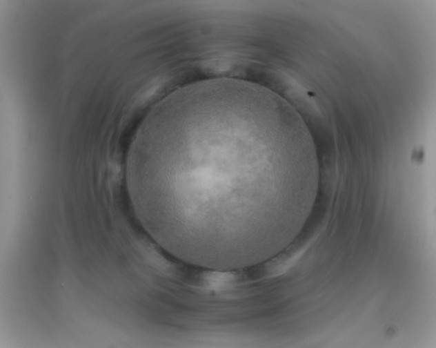 X0000095120085200712071250