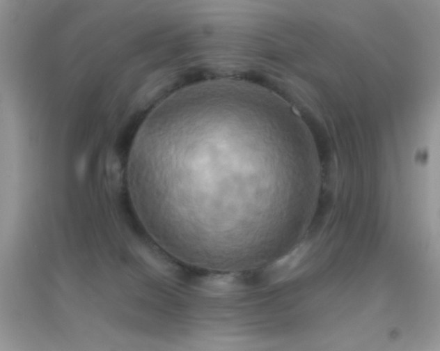 X0000095120086200712071250