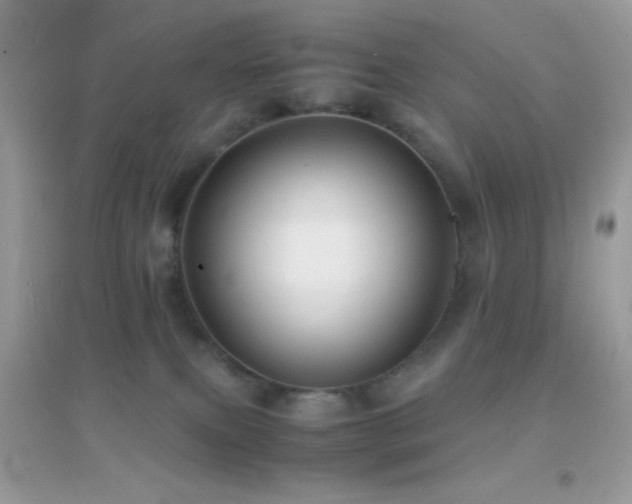 X0000095120087200712071250