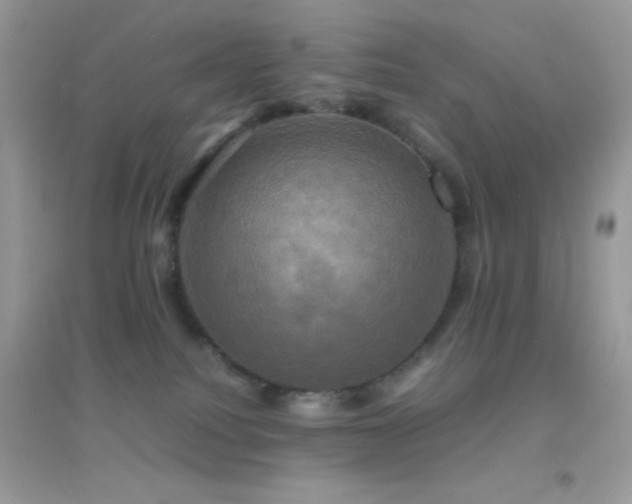 X0000095120088200712071250