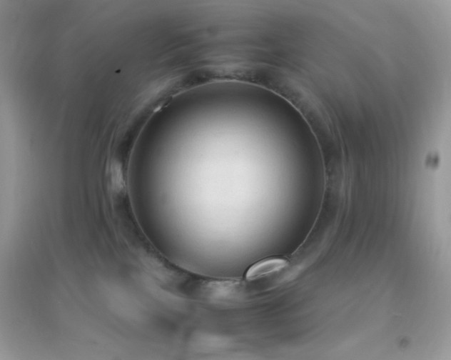 X0000095120089200712071250