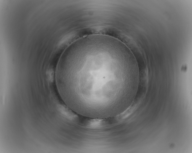 X0000095120090200712071250