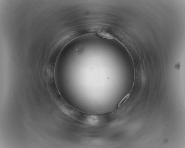 X0000095120091200712071250