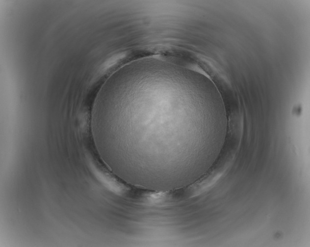 X0000095120092200712071250