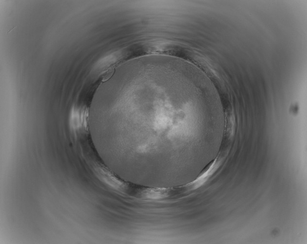 X0000095120094200712071250