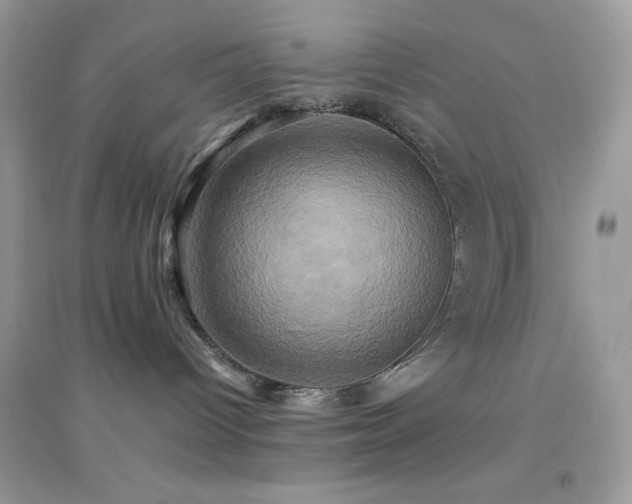 X0000095120096200712071250