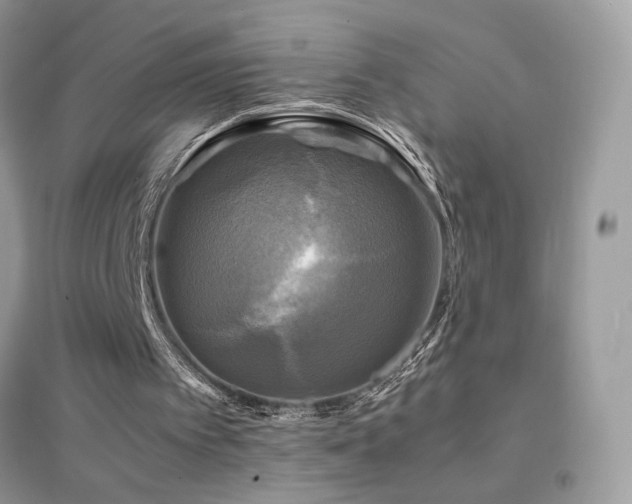 X0000095120097200712071249