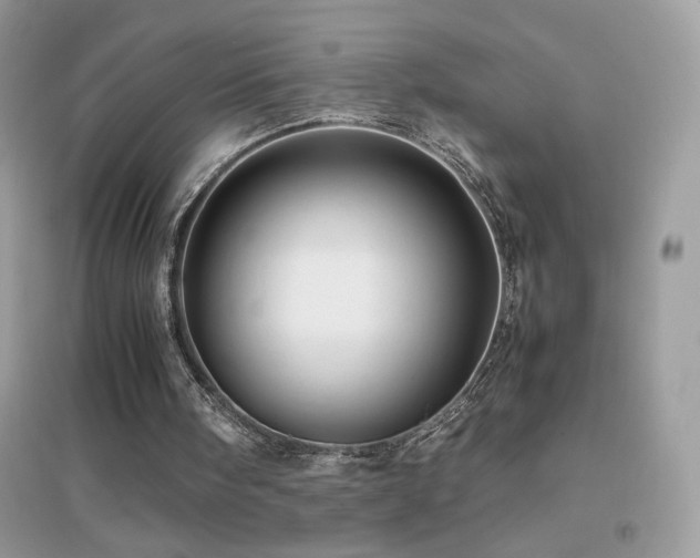 X0000095120098200712071249