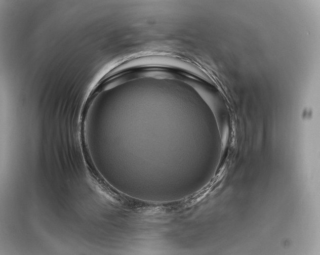 X0000095120100200712071249