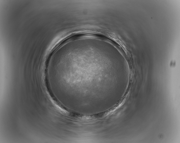 X0000095120101200712071249