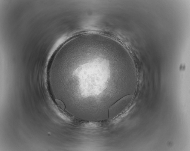 X0000095120102200712071249