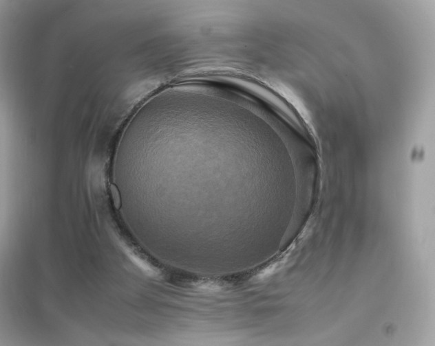 X0000095120105200712071249