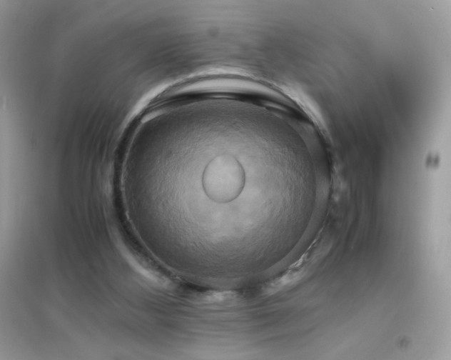 X0000095120108200712071249