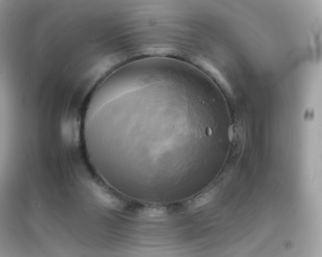 X0000095120110200712071249