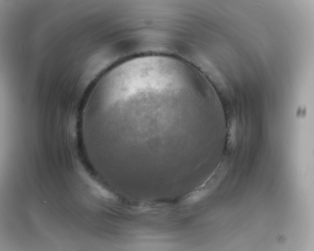 X0000095120112200712071249