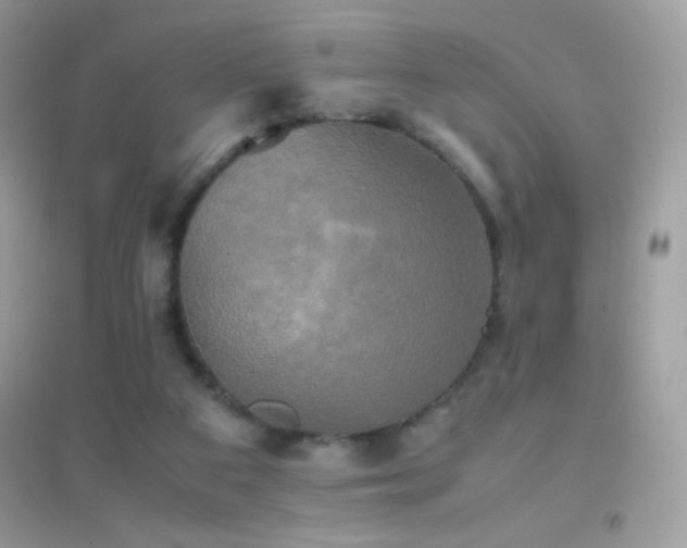 X0000095120113200712071249