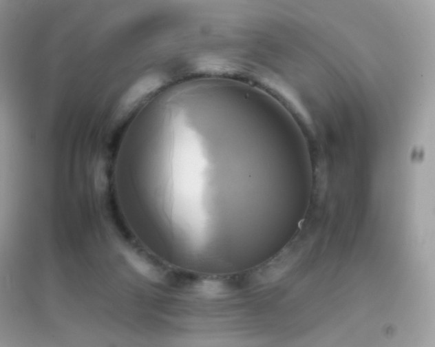 X0000095120114200712071249