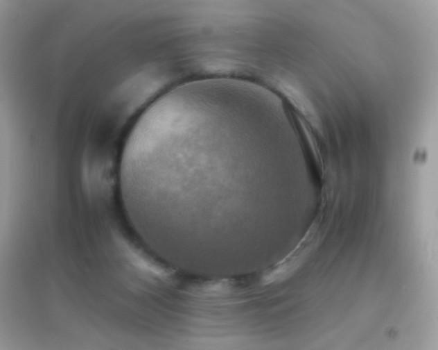X0000095120116200712071249