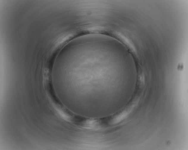 X0000095120117200712071249