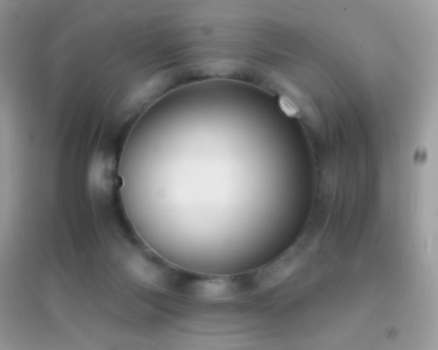 X0000095120118200712071249