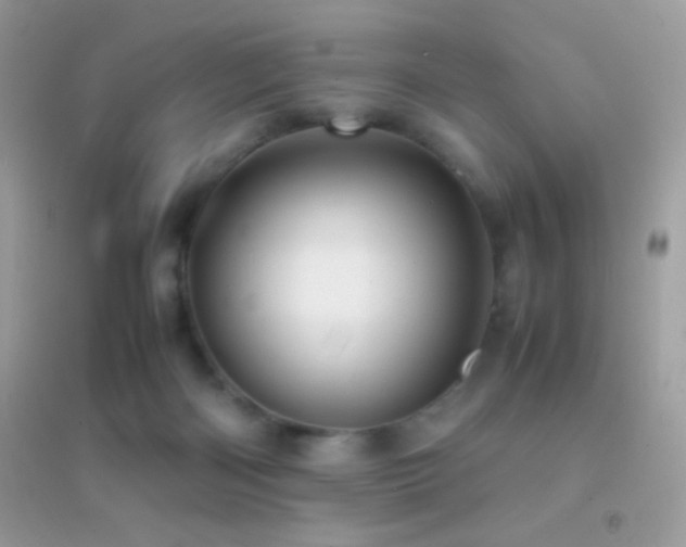 X0000095120122200712071249