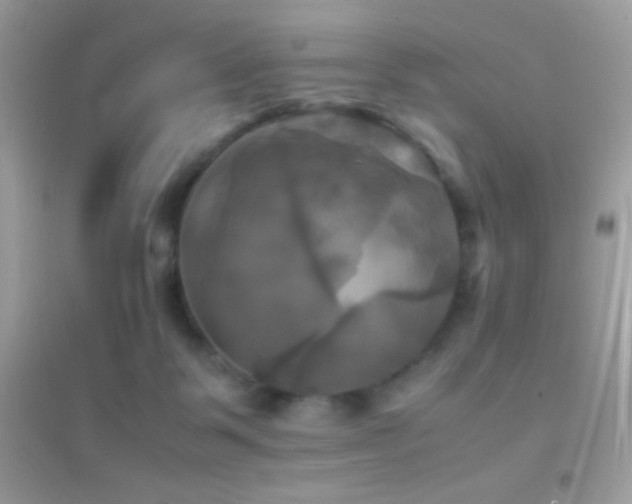 X0000095120123200712071249