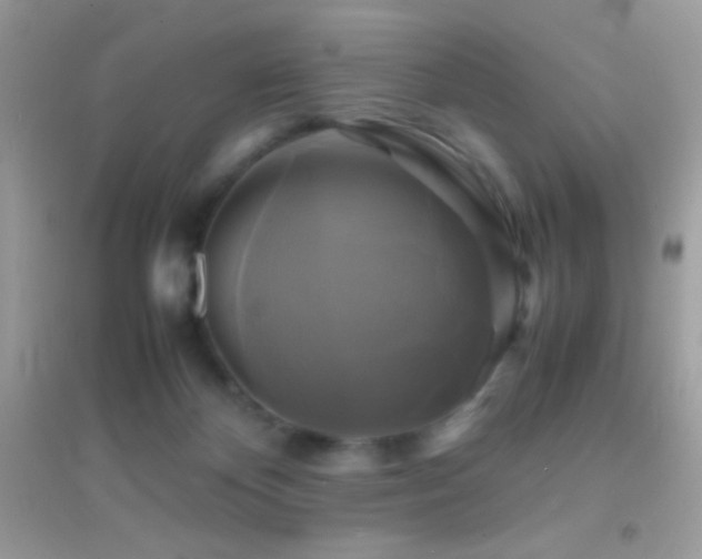 X0000095120124200712071249