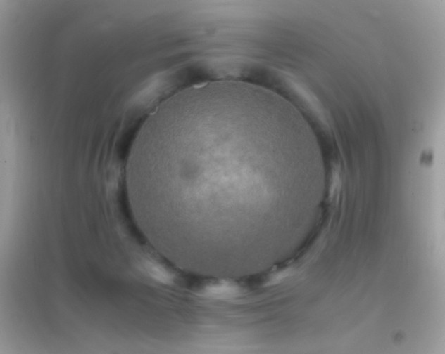 X0000095120125200712071249