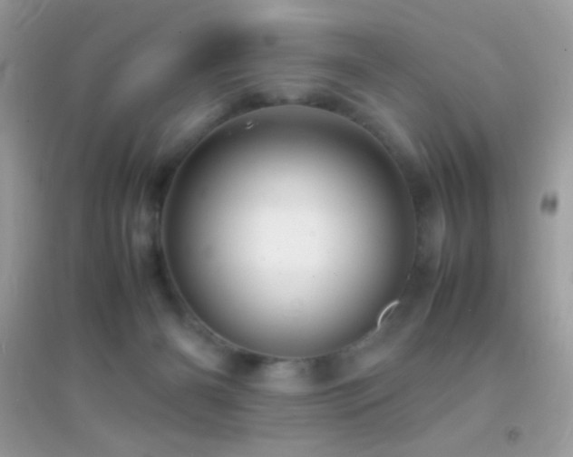 X0000095120126200712071249