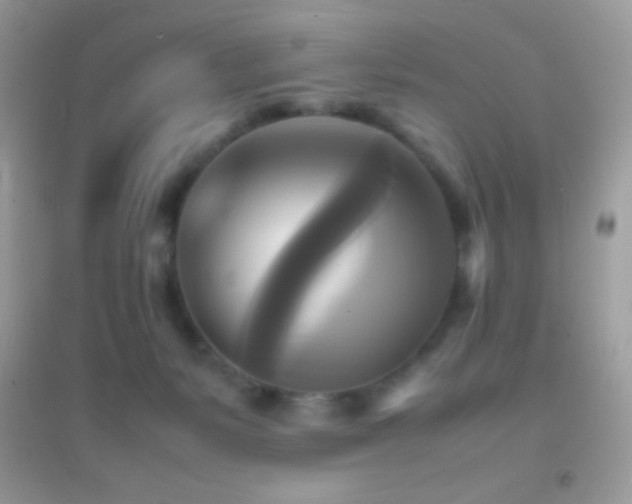 X0000095120127200712071249