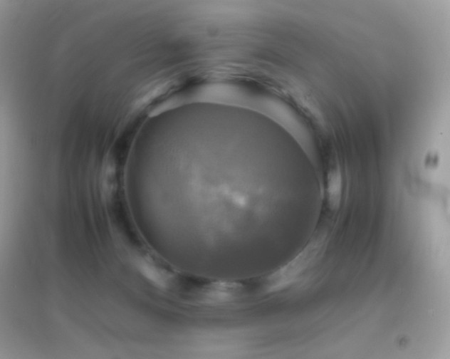 X0000095120128200712071249