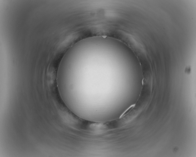 X0000095120133200712071249