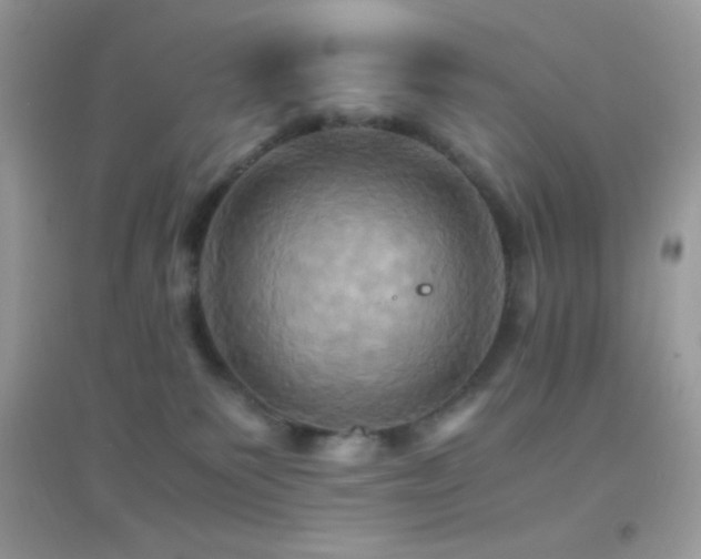 X0000095120135200712071249