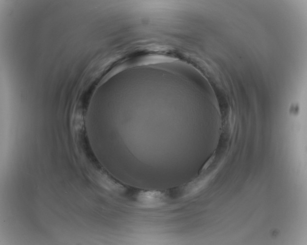 X0000095120137200712071249