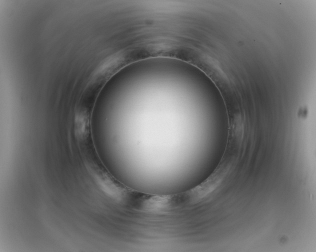 X0000095120138200712071248