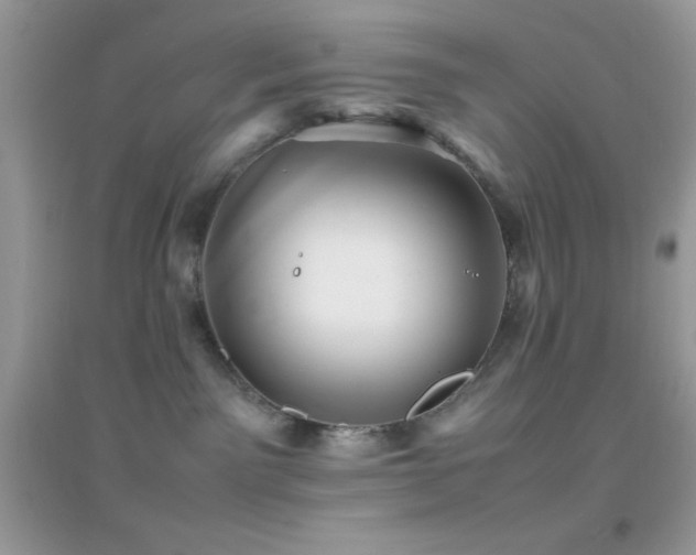 X0000095120141200712071248