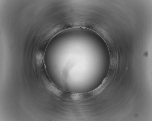 X0000095120142200712071248