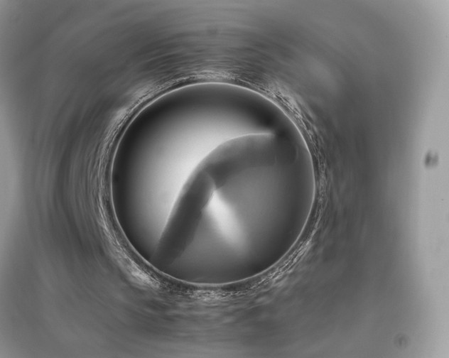 X0000095120145200712071248